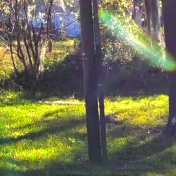 Fairy beams - Picture 1 of 1